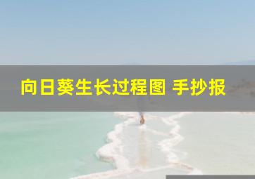 向日葵生长过程图 手抄报